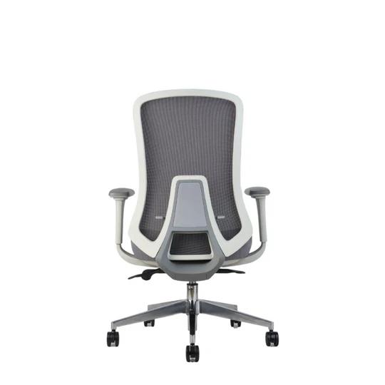 Roger Medium Back Ergonomic Office Chair